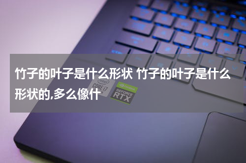 竹子的叶子是什么形状 竹子的叶子是什么形状的,多么像什