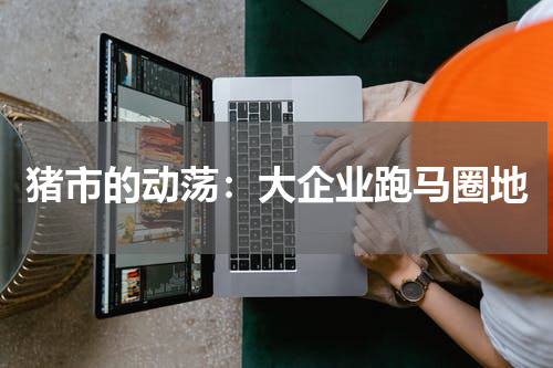 猪市的动荡：大企业跑马圈地