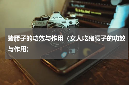 猪腰子的功效与作用（女人吃猪腰子的功效与作用）