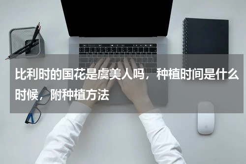 比利时的国花是虞美人吗，种植时间是什么时候，附种植方法