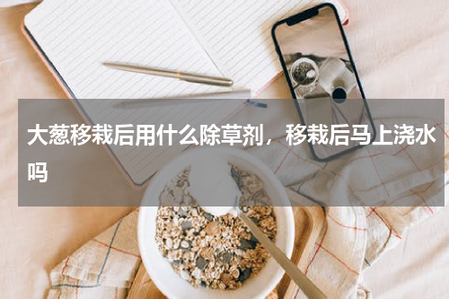 大葱移栽后用什么除草剂，移栽后马上浇水吗