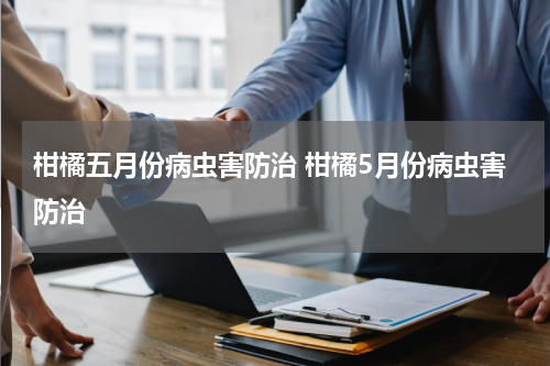 柑橘五月份病虫害防治 柑橘5月份病虫害防治