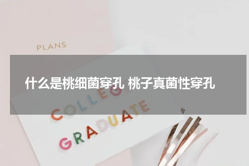 什么是桃细菌穿孔 桃子真菌性穿孔