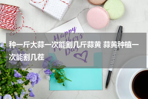 种一斤大蒜一次能割几斤蒜黄 蒜黄种植一次能割几茬