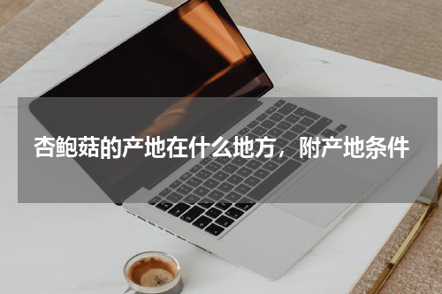 杏鲍菇的产地在什么地方，附产地条件