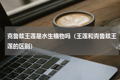 克鲁兹王莲是水生植物吗（王莲和克鲁兹王莲的区别）