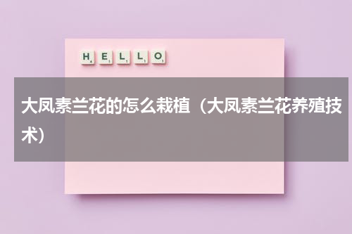 大凤素兰花的怎么栽植（大凤素兰花养殖技术）