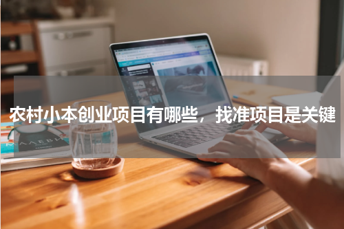 农村小本创业项目有哪些，找准项目是关键