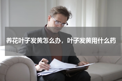 养花叶子发黄怎么办，叶子发黄用什么药