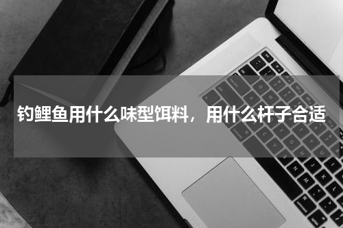 钓鲤鱼用什么味型饵料，用什么杆子合适