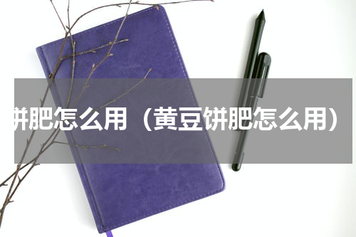 饼肥怎么用（黄豆饼肥怎么用）
