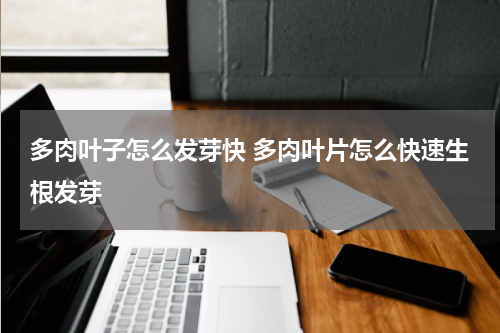 多肉叶子怎么发芽快 多肉叶片怎么快速生根发芽
