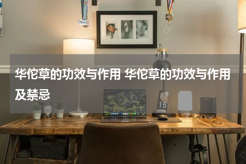 华佗草的功效与作用 华佗草的功效与作用及禁忌