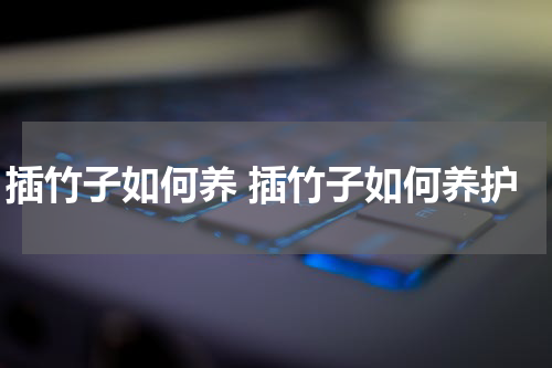 插竹子如何养 插竹子如何养护