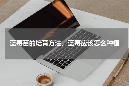 蓝莓苗的培育方法，蓝莓应该怎么种植