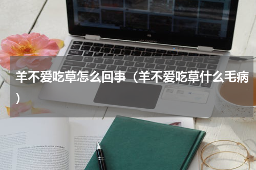 羊不爱吃草怎么回事（羊不爱吃草什么毛病）