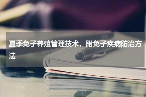 夏季兔子养殖管理技术，附兔子疾病防治方法