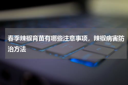 春季辣椒育苗有哪些注意事项，辣椒病害防治方法