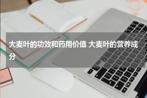 大麦叶的功效和药用价值 大麦叶的营养成分