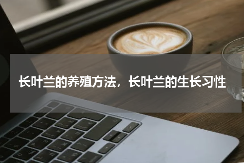 长叶兰的养殖方法，长叶兰的生长习性
