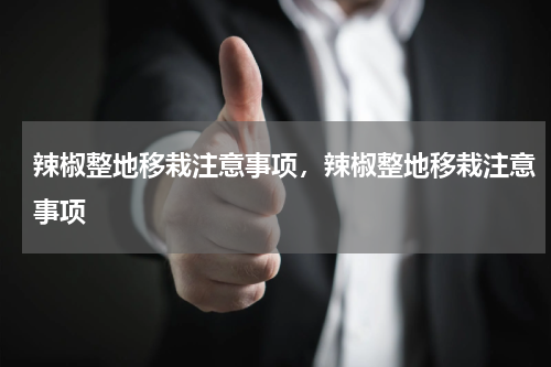 辣椒整地移栽注意事项，辣椒整地移栽注意事项