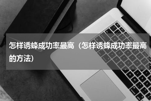 怎样诱蜂成功率最高（怎样诱蜂成功率最高的方法）