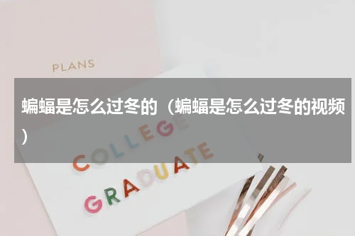 蝙蝠是怎么过冬的（蝙蝠是怎么过冬的视频）