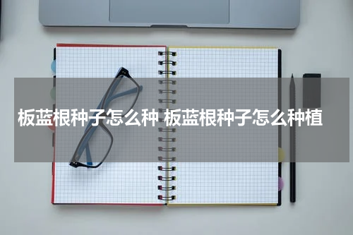 板蓝根种子怎么种 板蓝根种子怎么种植