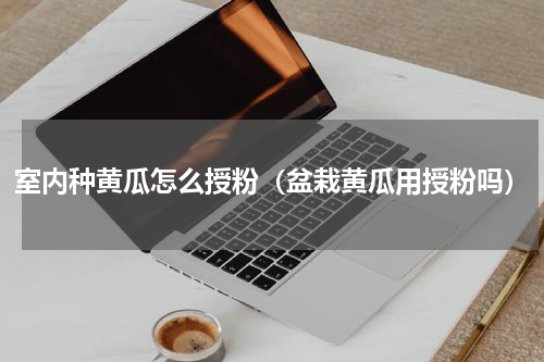 室内种黄瓜怎么授粉（盆栽黄瓜用授粉吗）