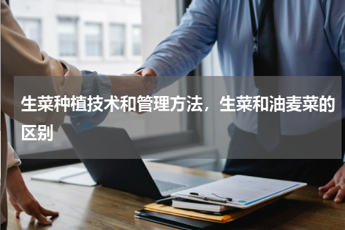 生菜种植技术和管理方法，生菜和油麦菜的区别