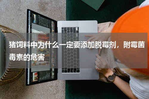 猪饲料中为什么一定要添加脱霉剂，附霉菌毒素的危害