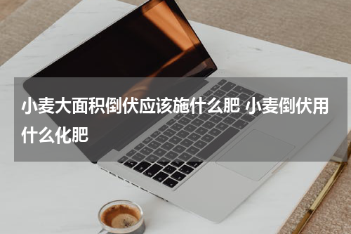 小麦大面积倒伏应该施什么肥 小麦倒伏用什么化肥