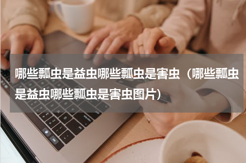 哪些瓢虫是益虫哪些瓢虫是害虫（哪些瓢虫是益虫哪些瓢虫是害虫图片）
