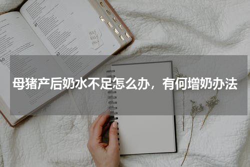 母猪产后奶水不足怎么办，有何增奶办法