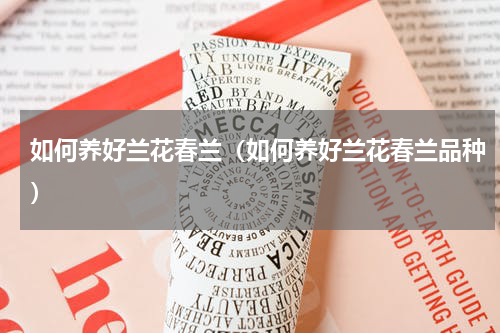 如何养好兰花春兰（如何养好兰花春兰品种）