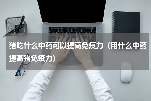 猪吃什么中药可以提高免疫力（用什么中药提高猪免疫力）