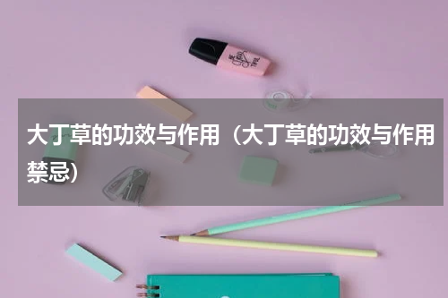 大丁草的功效与作用（大丁草的功效与作用禁忌）