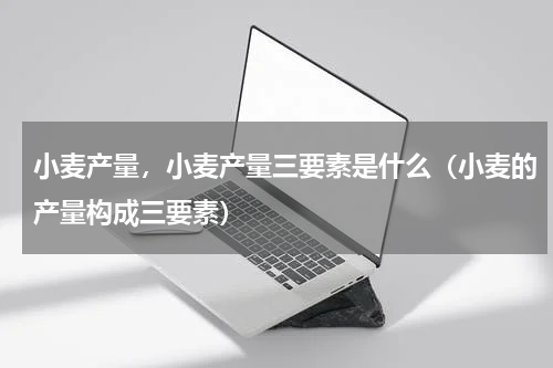 小麦产量，小麦产量三要素是什么（小麦的产量构成三要素）