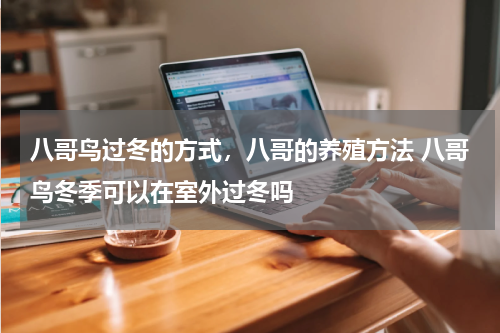 八哥鸟过冬的方式，八哥的养殖方法 八哥鸟冬季可以在室外过冬吗