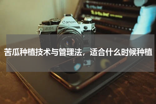 苦瓜种植技术与管理法，适合什么时候种植