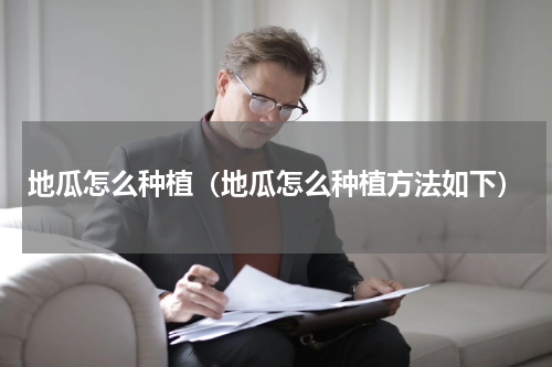 地瓜怎么种植（地瓜怎么种植方法如下）
