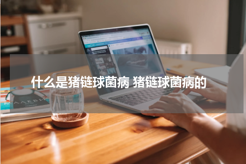 什么是猪链球菌病 猪链球菌病的