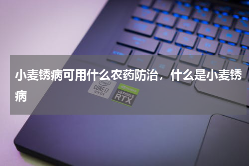 小麦锈病可用什么农药防治，什么是小麦锈病