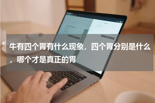 牛有四个胃有什么现象，四个胃分别是什么，哪个才是真正的胃