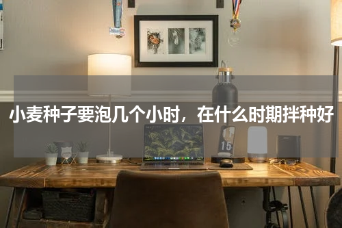 小麦种子要泡几个小时，在什么时期拌种好