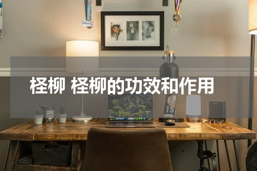 柽柳 柽柳的功效和作用