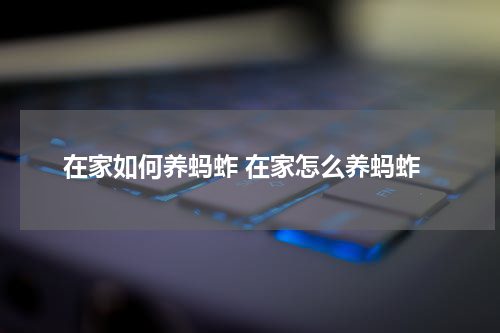 在家如何养蚂蚱 在家怎么养蚂蚱
