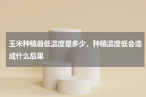 玉米种植最低温度是多少，种植温度低会造成什么后果
