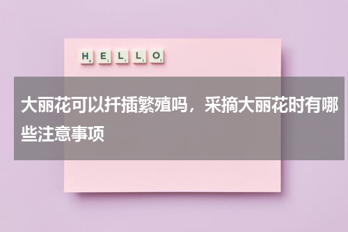 大丽花可以扦插繁殖吗，采摘大丽花时有哪些注意事项