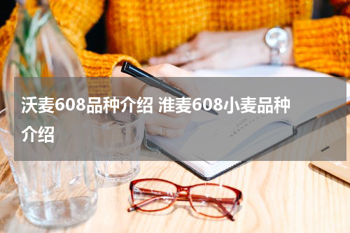 沃麦608品种介绍 淮麦608小麦品种介绍